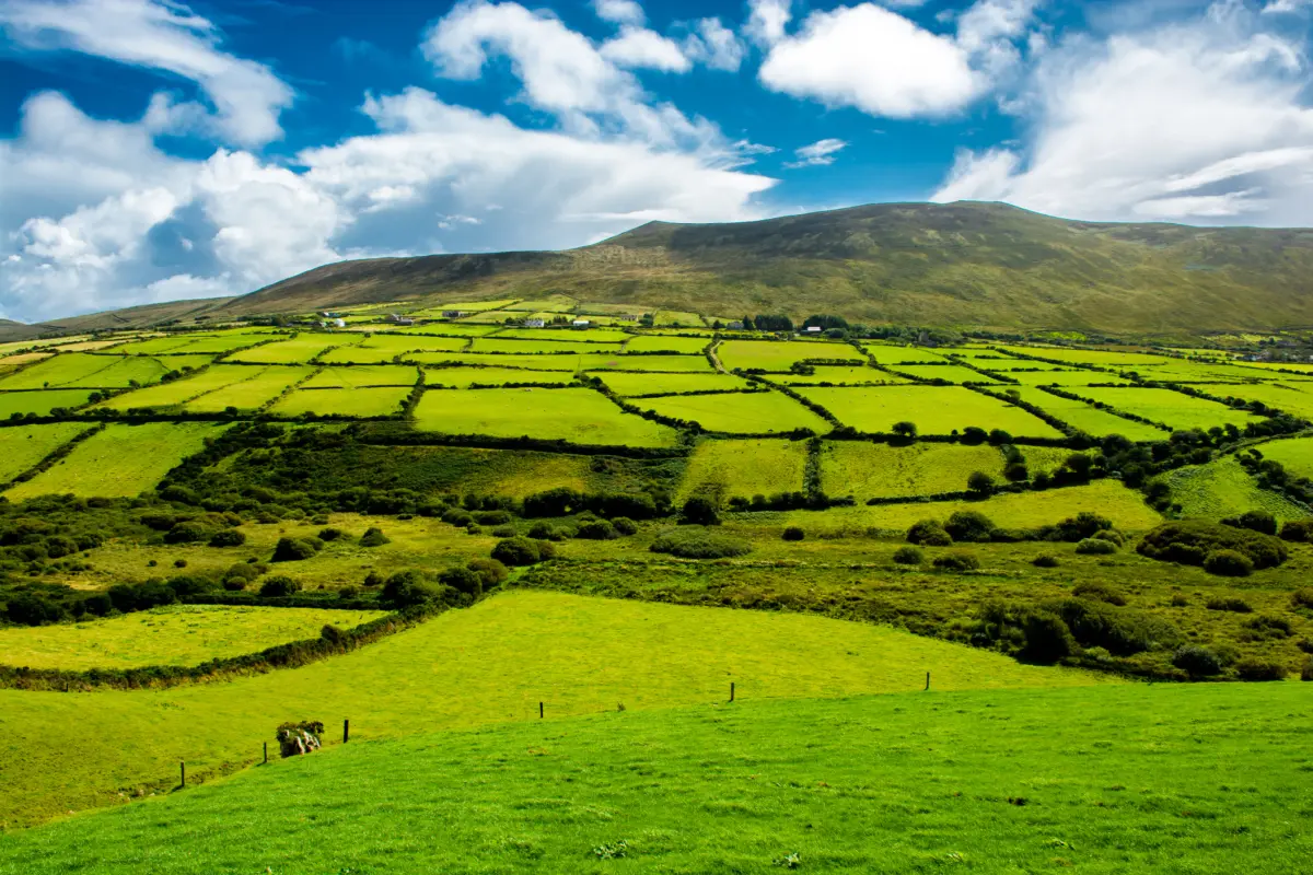 A scenic landscape featuring rolling green fields divided by stone walls, with a distant mountain under a blue sky filled with clouds.