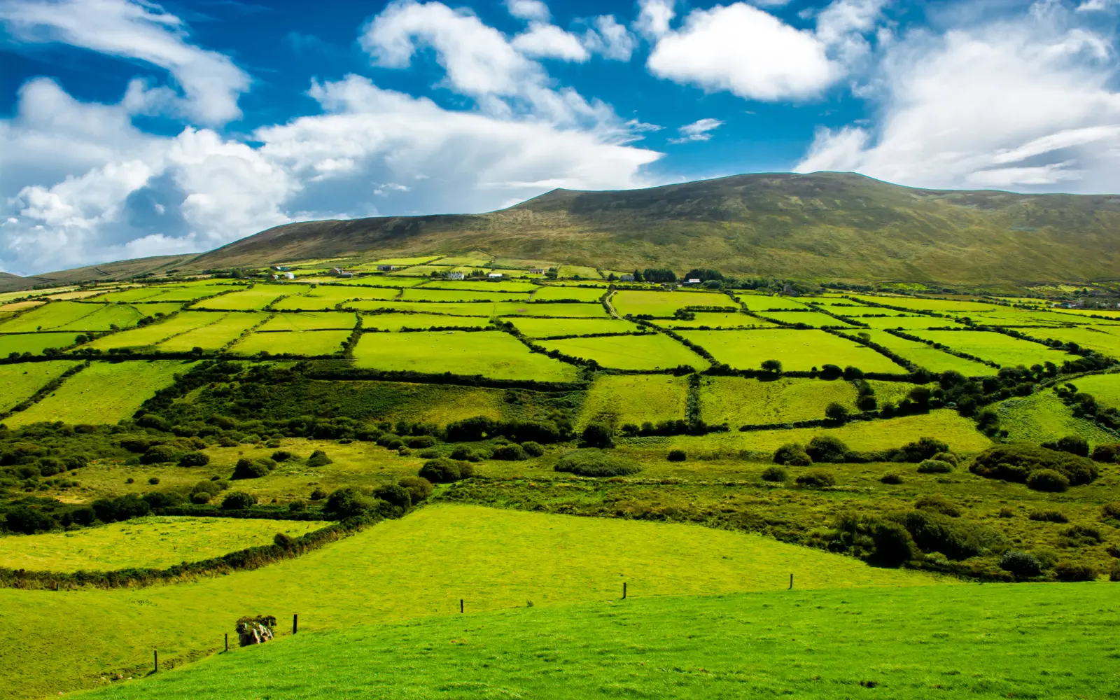 A scenic landscape featuring rolling green fields divided by stone walls, with a distant mountain under a blue sky filled with clouds.