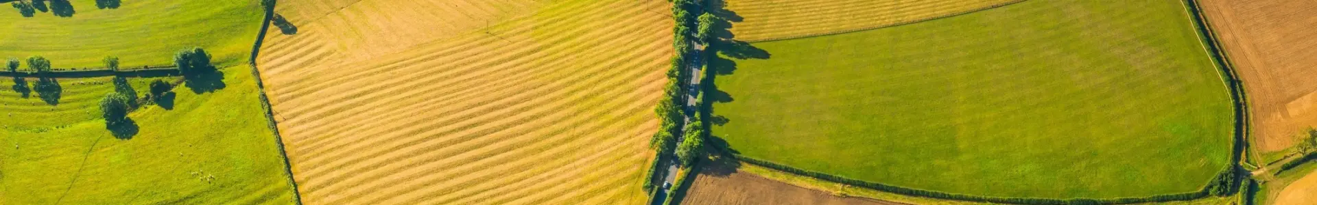 Aerial view of a patchwork of agricultural fields in various shades of green and brown, with a small village visible in the center surrounded by fields.