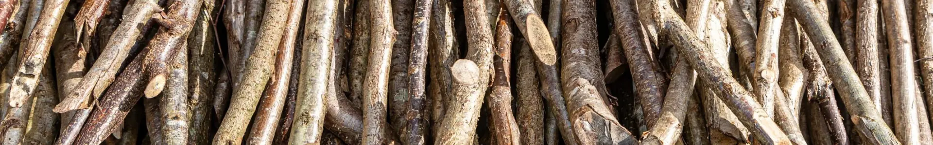 A close-up view of a pile of wooden sticks, varying in thickness and length, arranged haphazardly on a grassy surface.