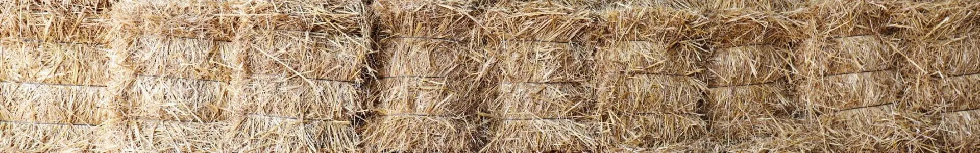 A close-up view of stacked straw bales neatly organized against a wall, showcasing their rectangular shape and golden color.