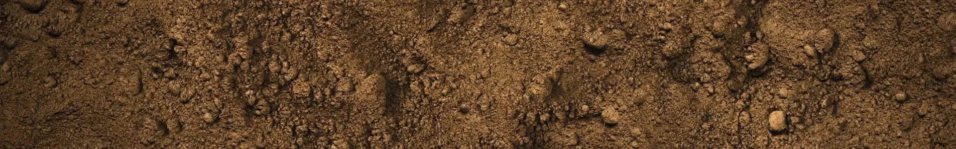 A close-up view of dark brown soil, featuring small rocks and various textures on the surface.