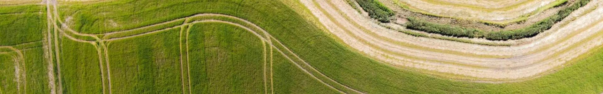 Aerial view of curved agricultural fields with varying shades of green and harvested strips visible in the landscape.