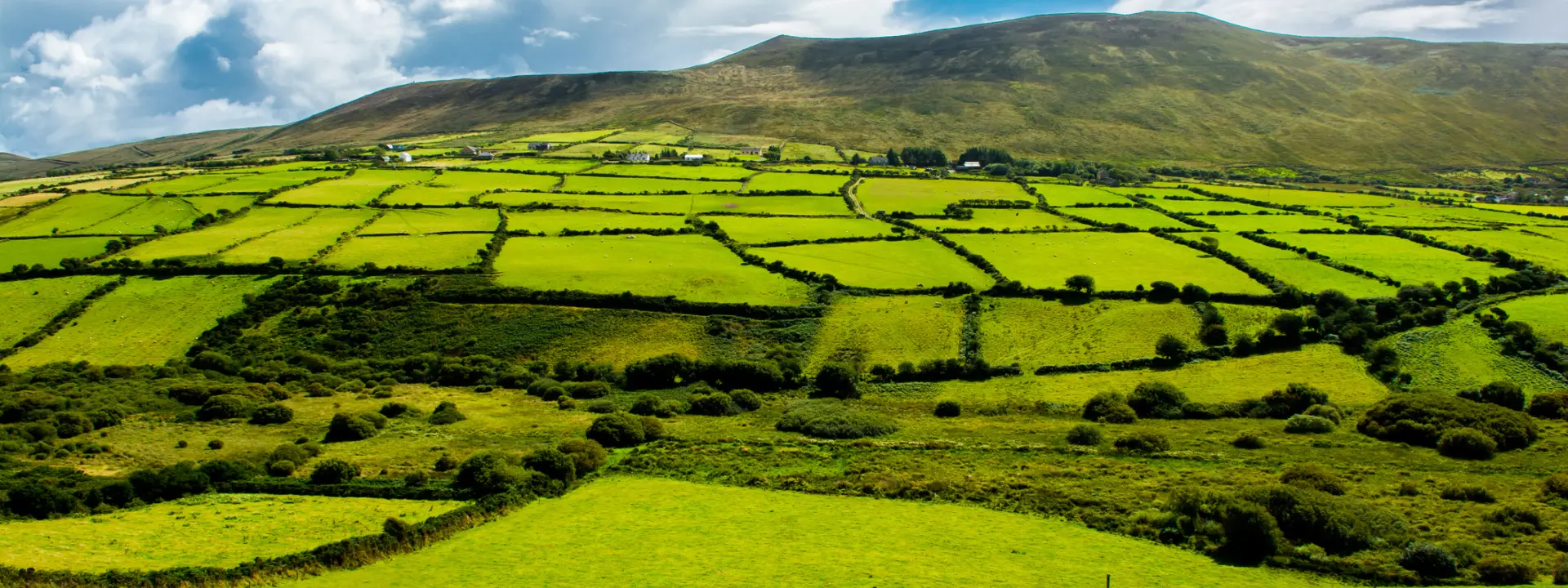 A scenic landscape featuring rolling green fields divided by stone walls, with a distant mountain under a blue sky filled with clouds.