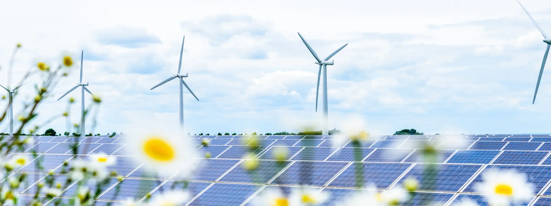 A field of solar panels in the foreground with wildflowers, while wind turbines are visible in the background under a cloudy sky.