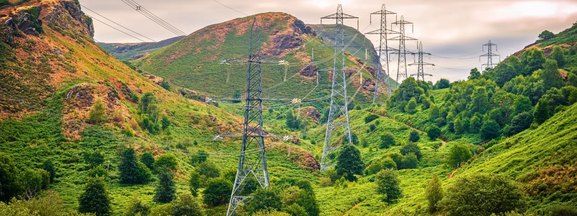 A landscape featuring rolling hills covered with green vegetation and patches of orange, with electricity pylons scattered throughout the scene. The sky is overcast, adding a soft light to the setting.