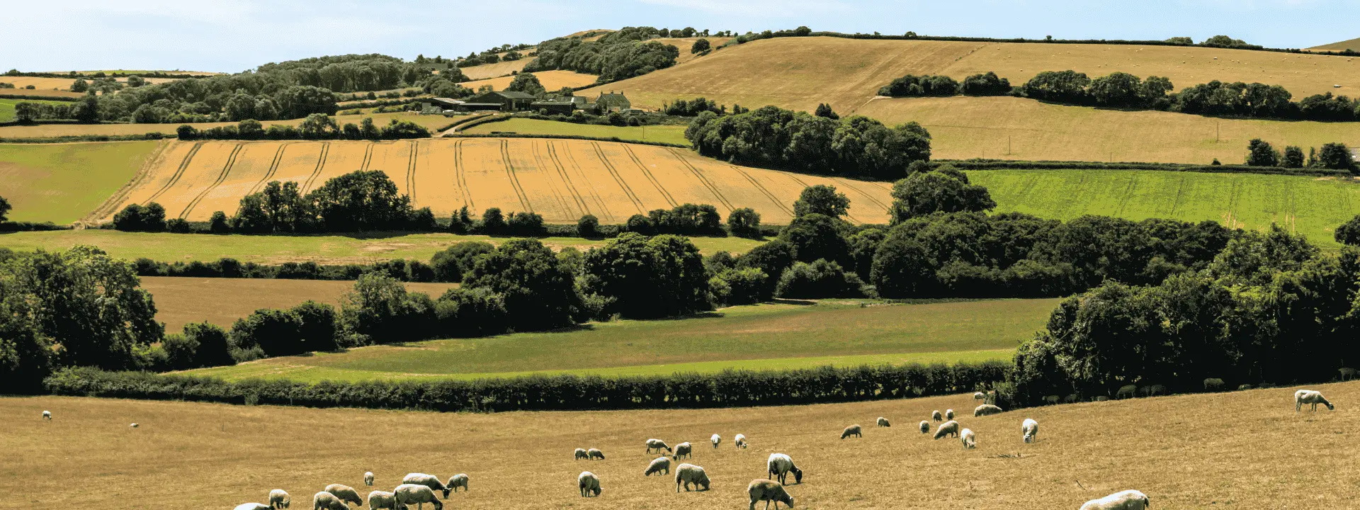 DM land registration article header desktop