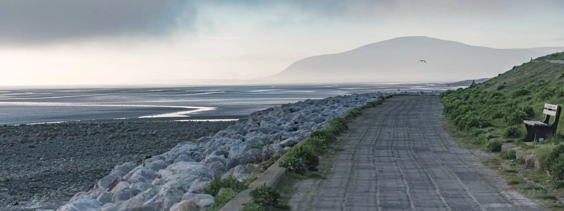 DM island broadband header desktop