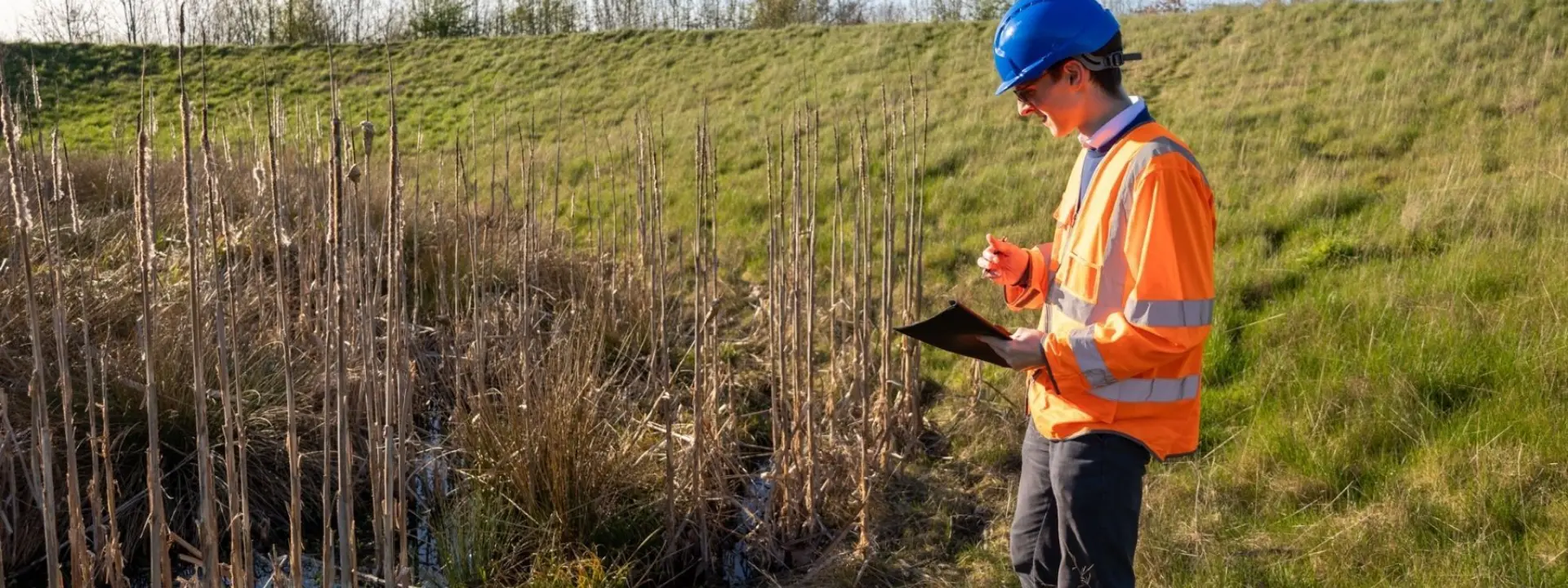 A worker in a blue hard hat and orange safety vest stands in a grassy field, holding a tablet beside tall dried reeds.