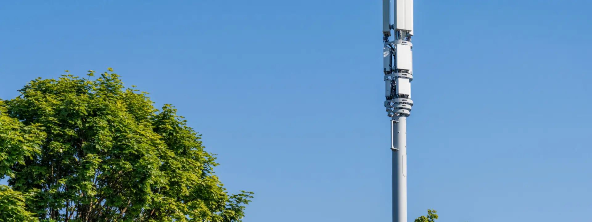 A tall cell tower with multiple antennas is visible against a clear blue sky, framed by green trees at the bottom of the image.