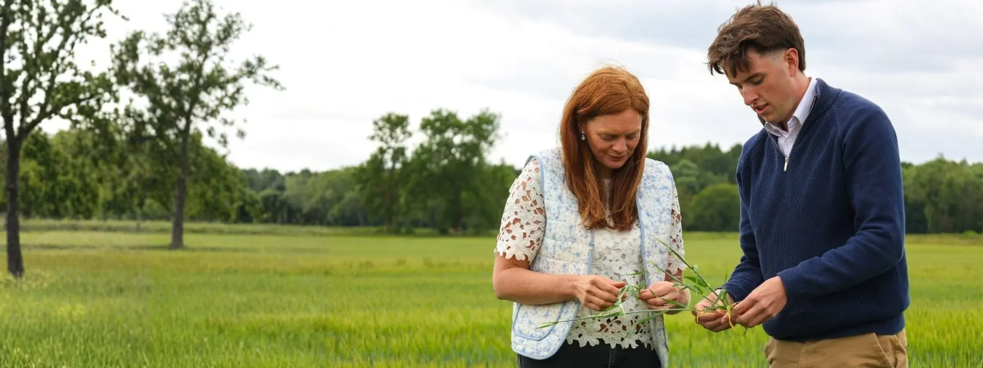 A man and woman examine plants in a grassy field with trees and a cloudy sky in the background.