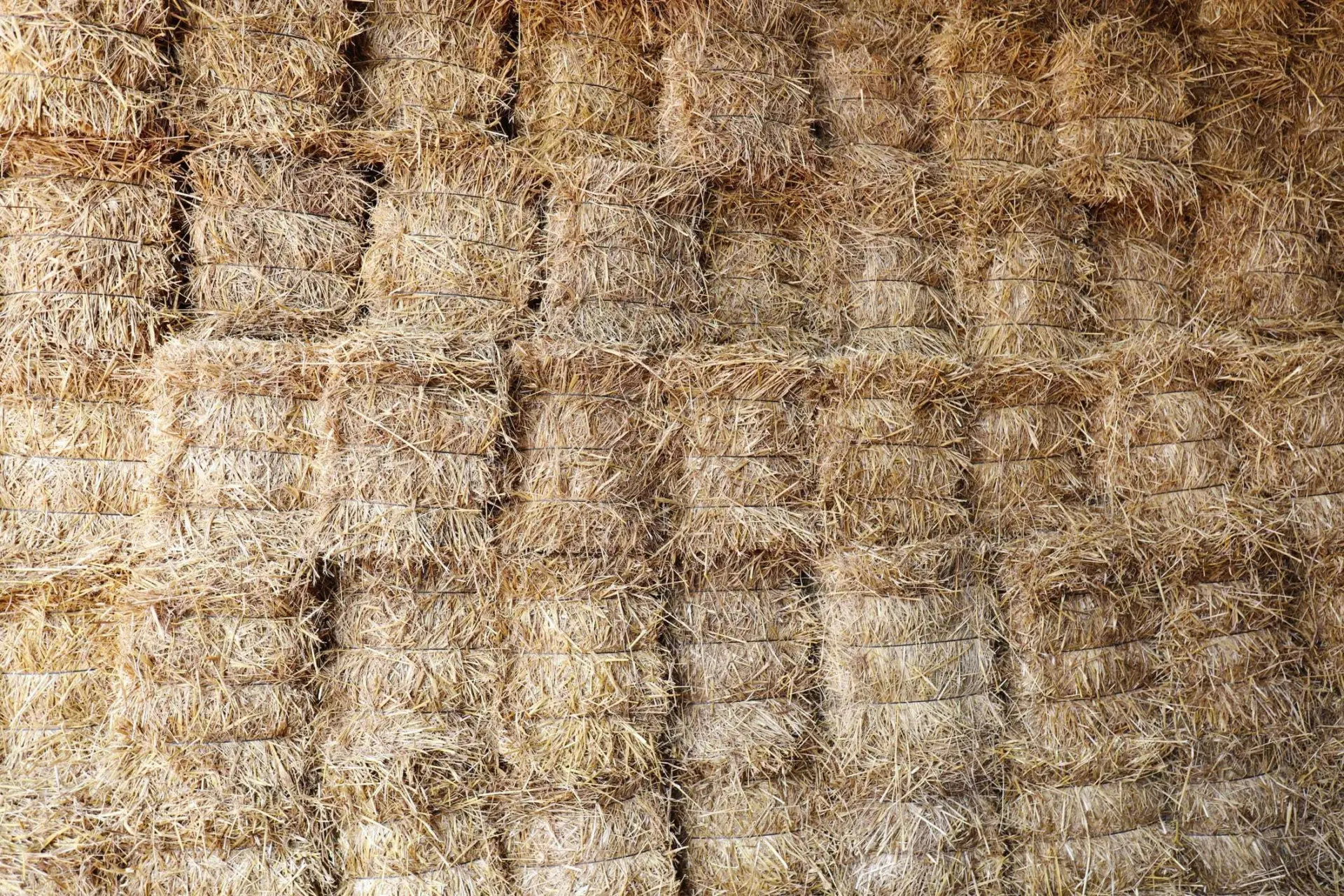 A close-up view of stacked straw bales neatly organized against a wall, showcasing their rectangular shape and golden color.