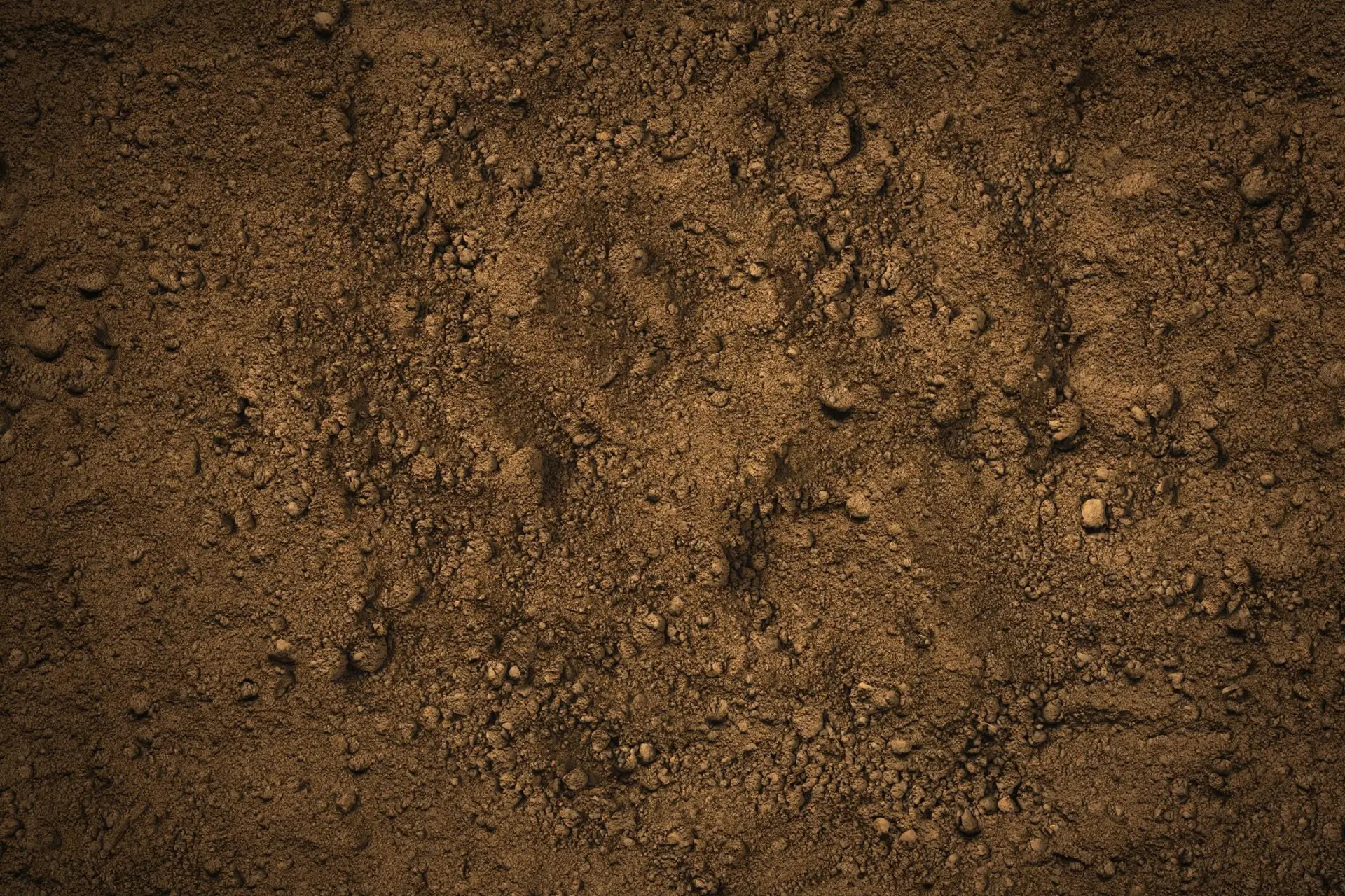 A close-up view of dark brown soil, featuring small rocks and various textures on the surface.