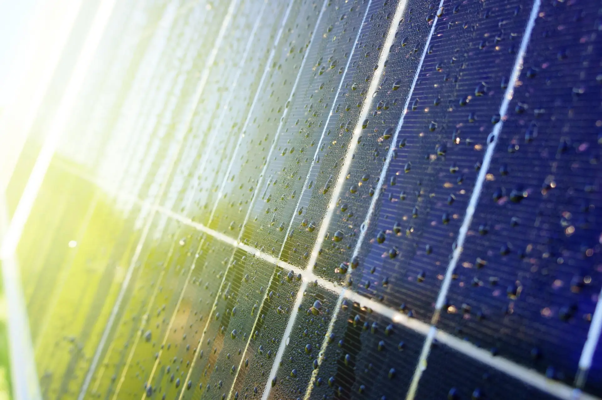 Close-up view of a solar panel surface with water droplets, reflecting sunlight, and green grass in the background.