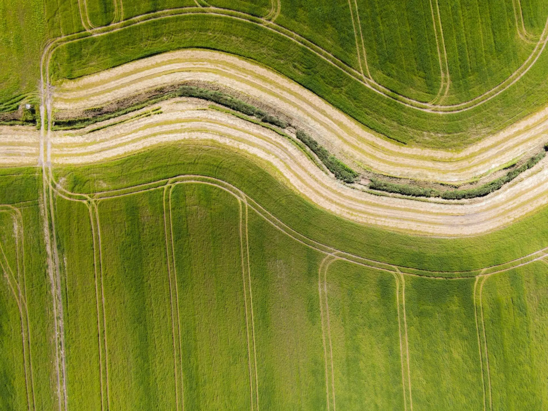 Aerial view of curved agricultural fields with varying shades of green and harvested strips visible in the landscape.