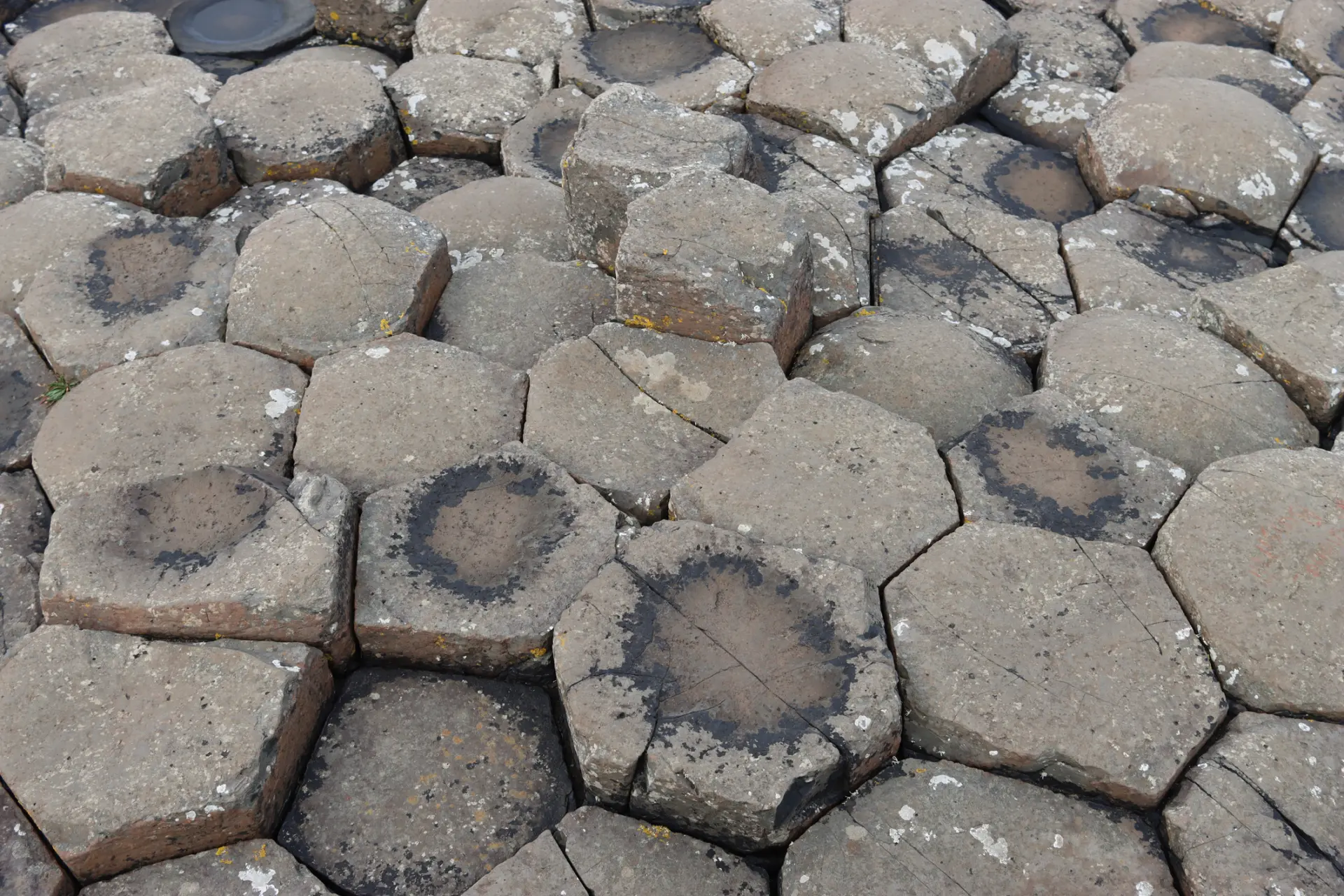 Close-up of hexagonal basalt columns forming a natural pattern on a rocky surface, with some areas showing darker circles and patches of moss.