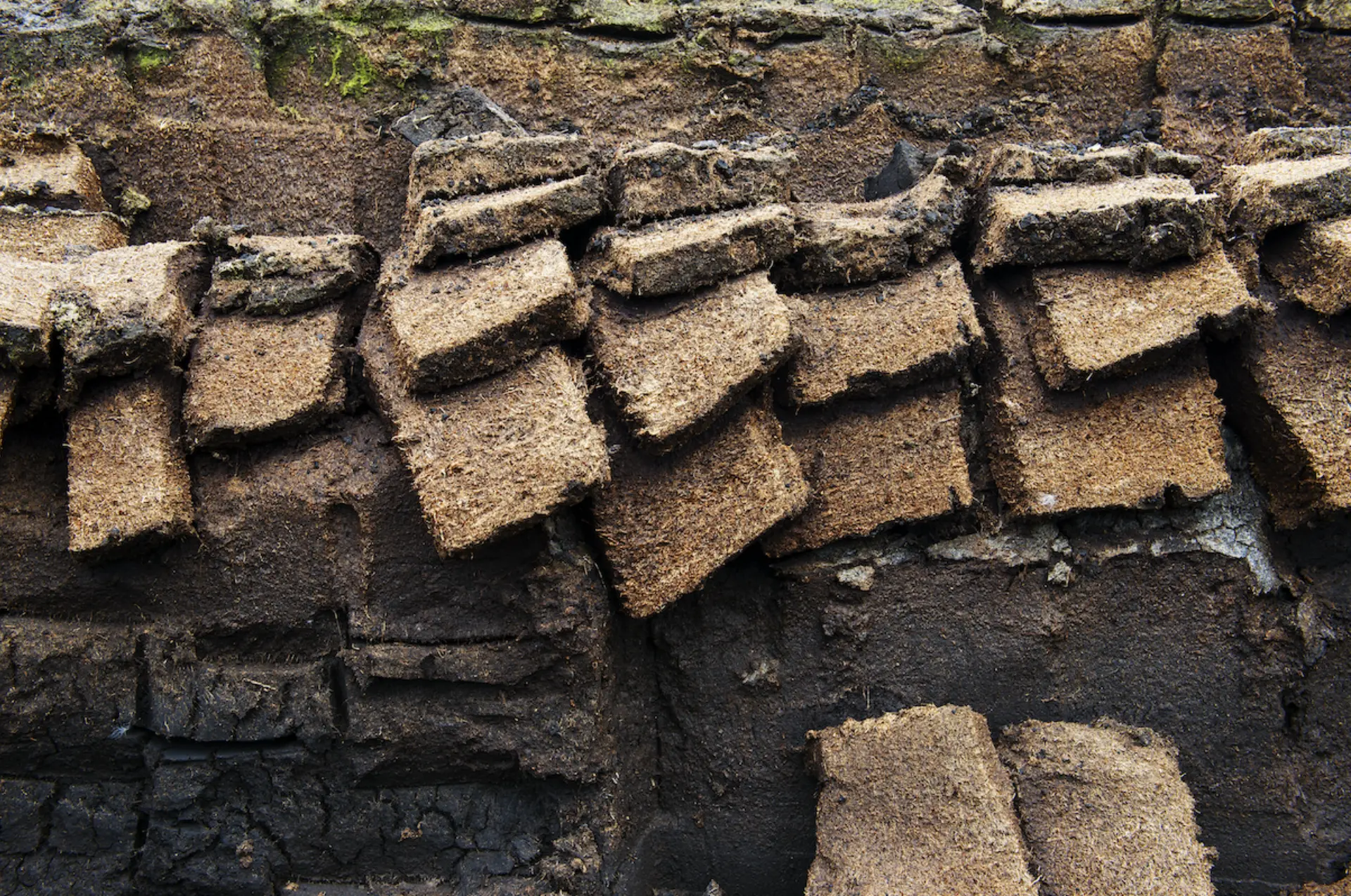 An arrangement of rectangular clumps of earth and organic material, resembling thatched roofing, layered on a dark soil background. The texture is rough and earthy, indicating natural elements.