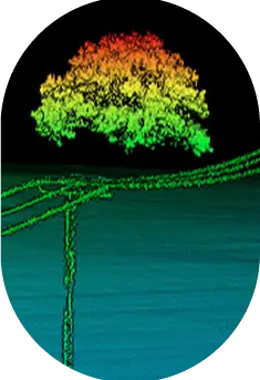 A digital illustration of a stylized tree with rainbow-colored foliage, set against a dark background. The tree stands on a simple line that suggests a branch or pole, creating a minimalist look.