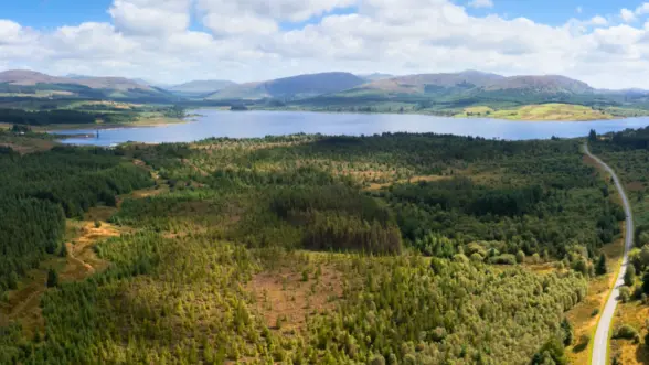 An aerial view of a serene landscape features a lake surrounded by rolling hills and dense greenery. A winding road runs alongside the forested area, with patches of open land visible.