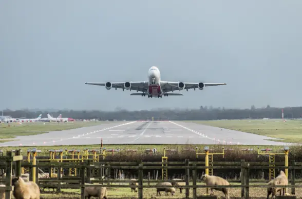 An airplane taking off from a runway, viewed from a distance, with sheep grazing in the foreground. The scene captures a cloudy sky and other aircraft parked on the tarmac.