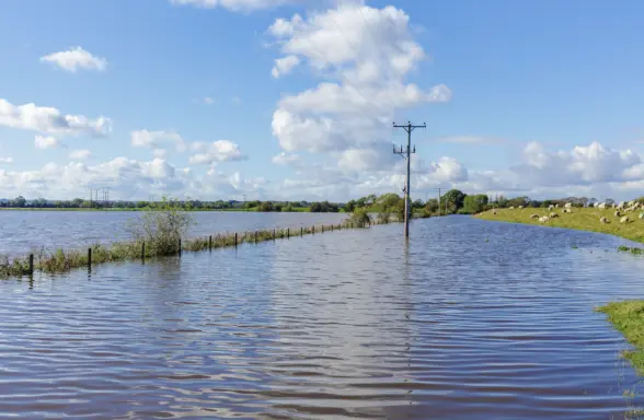 A flooded landscape featuring still water covering fields and a power pole standing amidst the water. Green grass and a fence line are visible along the edge, with clouds scattered in a blue sky.