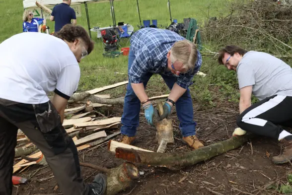 Three individuals engaged in cutting logs in an outdoor setting. One person is using a saw on a log while the others assist. There are piles of cut wood and tools nearby.