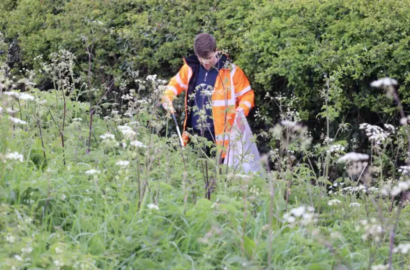 A person wearing an orange reflective jacket is collecting litter in a grassy area filled with wildflowers and dense greenery.