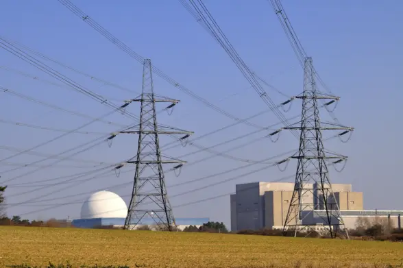 Electricity pylons in a field with a nuclear power plant in the background. The plant features a large dome and a modern industrial building against a clear blue sky.