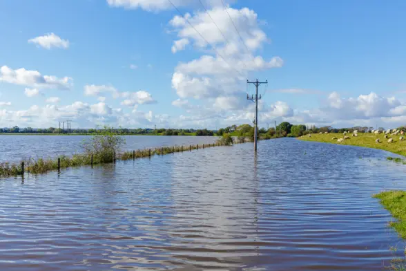 A flooded landscape with standing water extending across a rural area, power lines visible in the background, and a fence along the water's edge. Green grass and trees are located on one side of the flooded area.