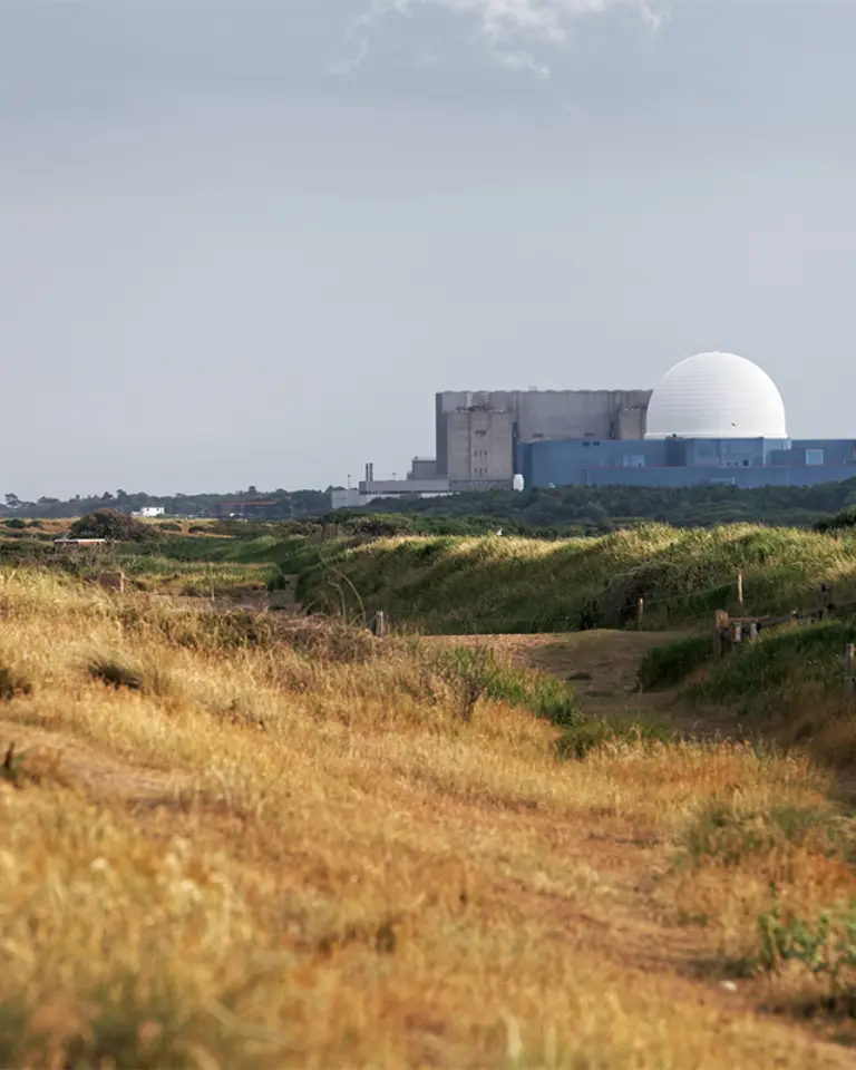 A grassy path leading towards a nuclear power plant in the background, featuring a large dome structure and industrial buildings, set against a cloudy sky.