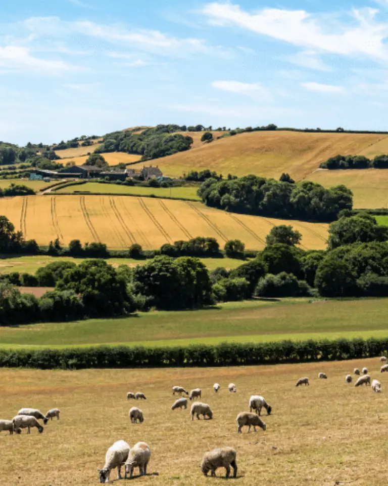 DM land registration article header mobile