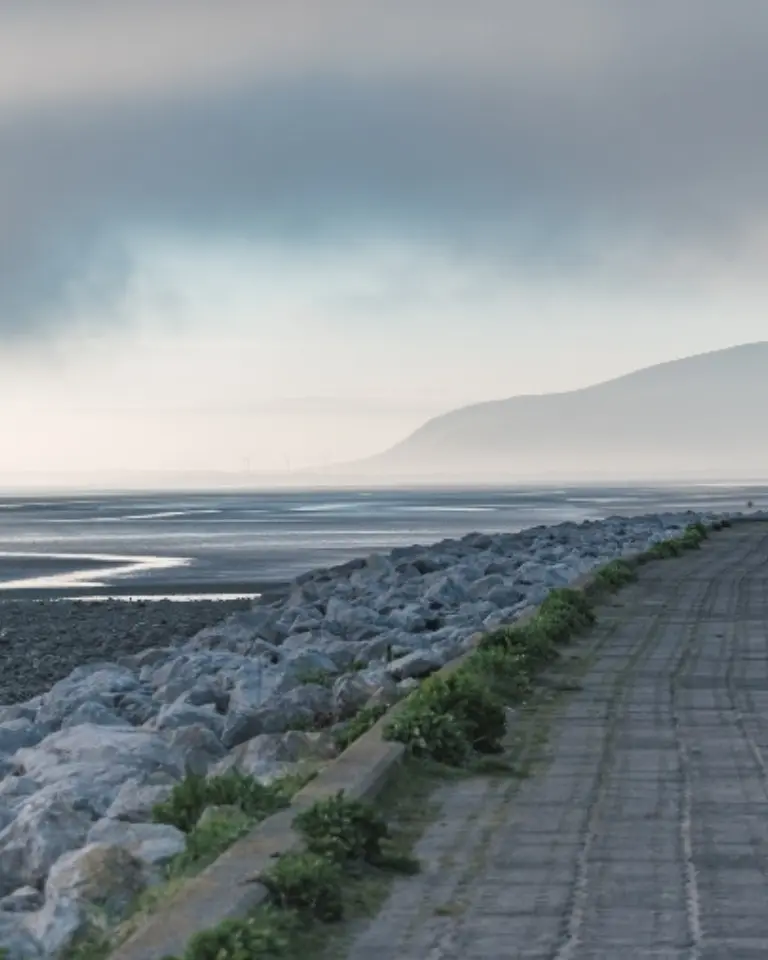 DM island broadband header mobile