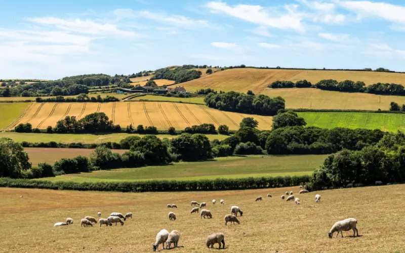 DM land registration article header mobile