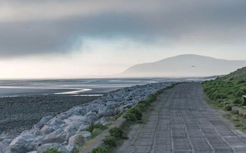 DM island broadband header mobile