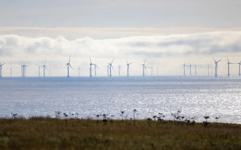 Offshore wind turbines visible in the distance on a calm sea, with a cloudy sky above and grassland in the foreground.