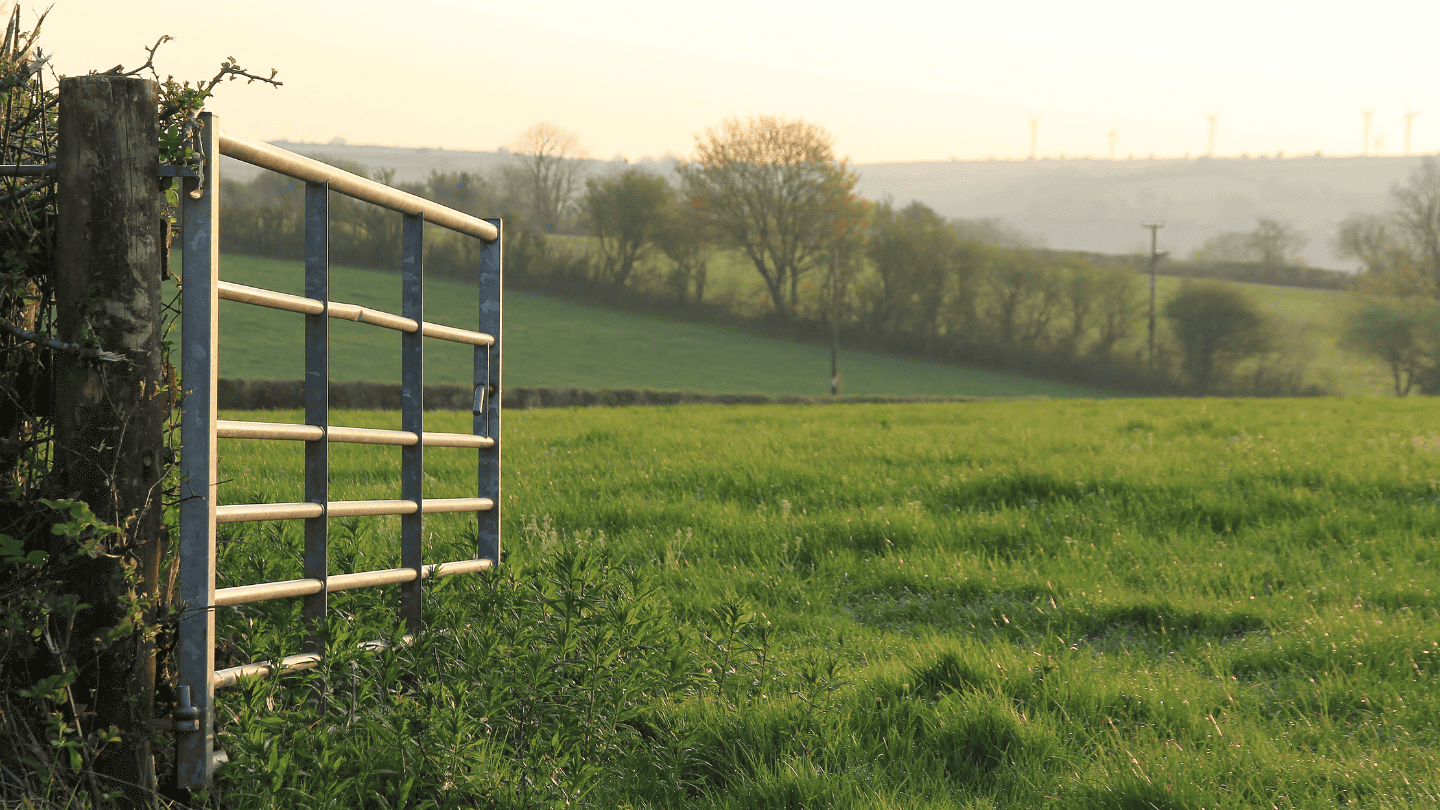 An open metal gate in a grassy field, with rolling hills and trees in the background under a soft, hazy light.