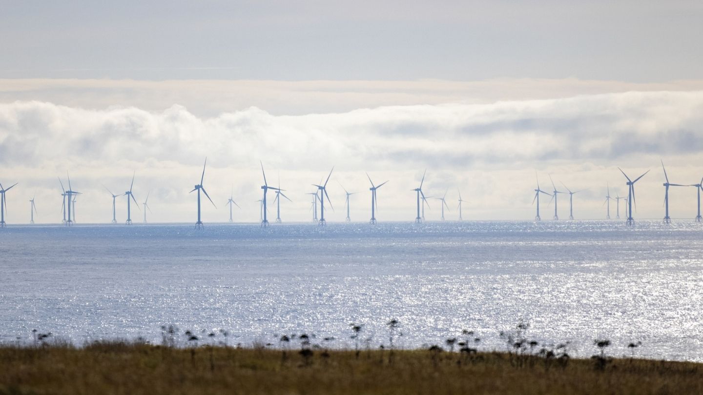 A row of offshore wind turbines stands on the horizon above a shimmering sea, with a grassy shoreline in the foreground.