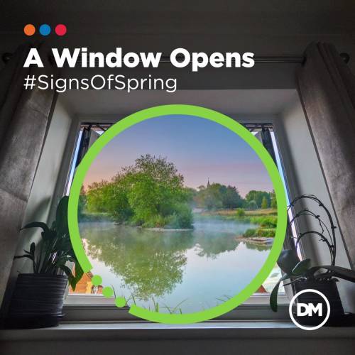 A Window Opens…