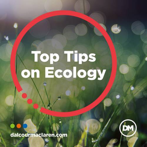 Top Tips on Ecology